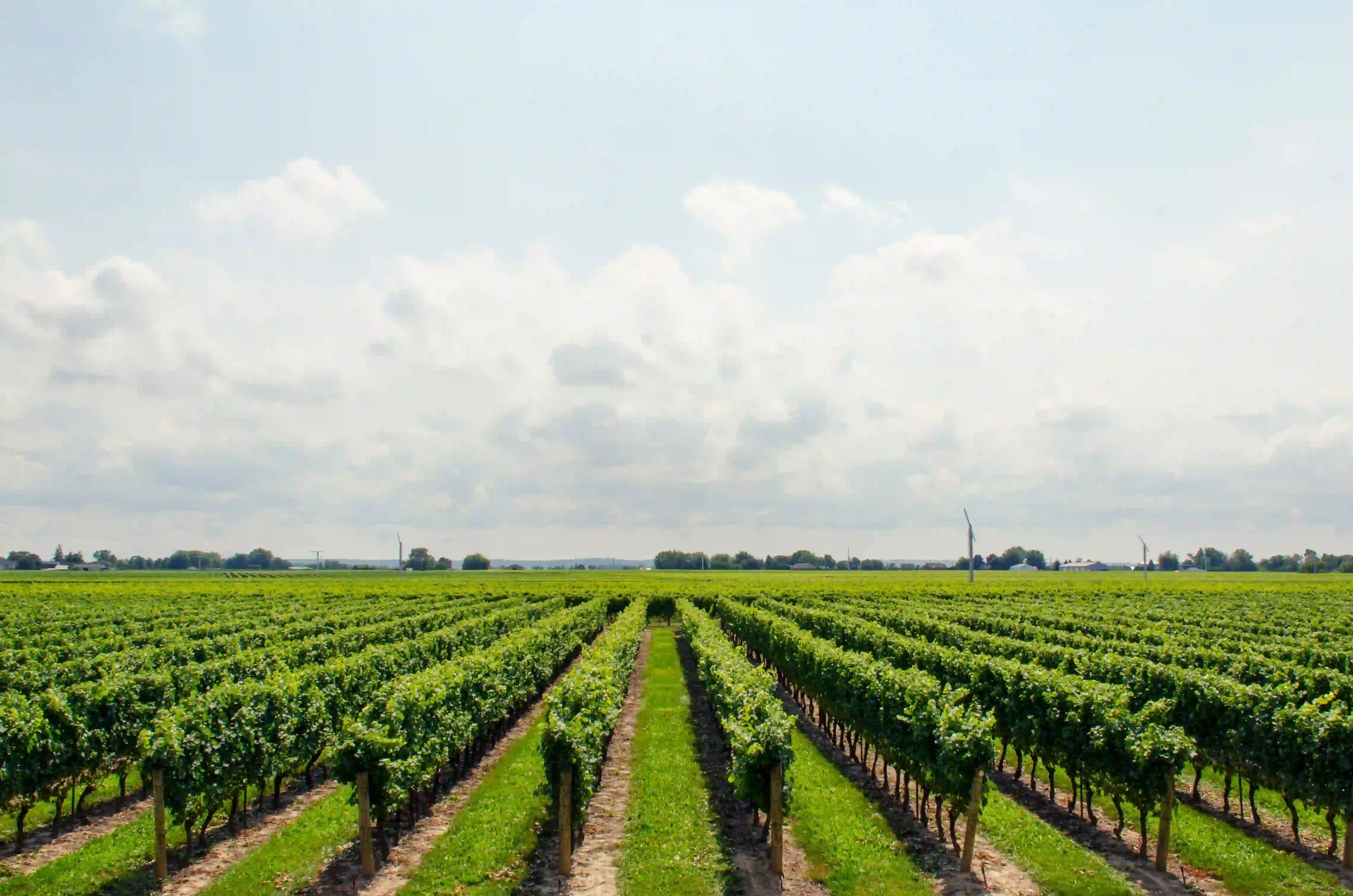 Sustainable Agriculture