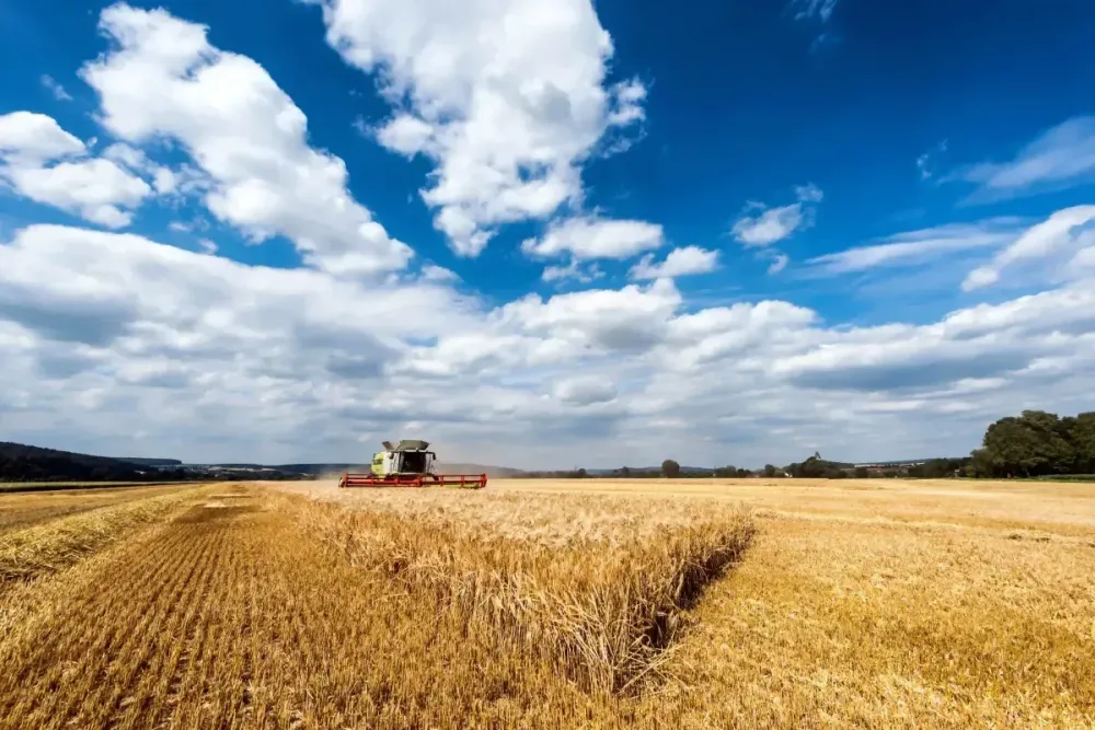 The Importance of Sustainable Farming in Modern Agriculture