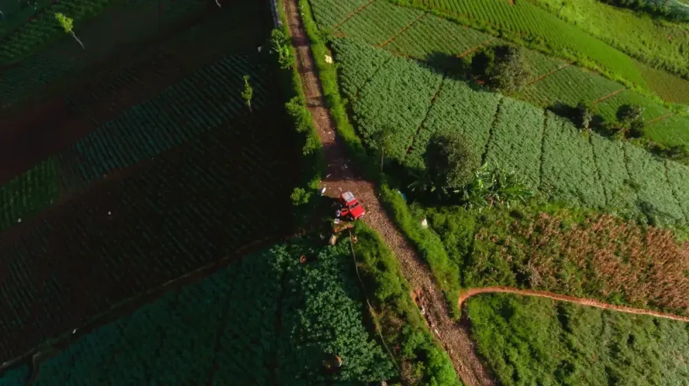 Agricultural Land Development: A Long-Term Growth Strategy