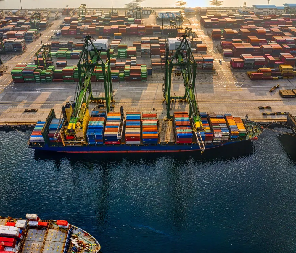 How Quality Control Impacts Agri Commodities & Food Ingredients Exports